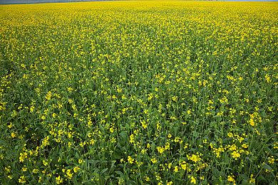 《潜行者2》目前没计划移植到索尼PS5平台